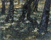 Vincent Van Gogh Undergrowth painting